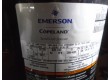 Emerson Copeland ZH04KCU-TFMN-524